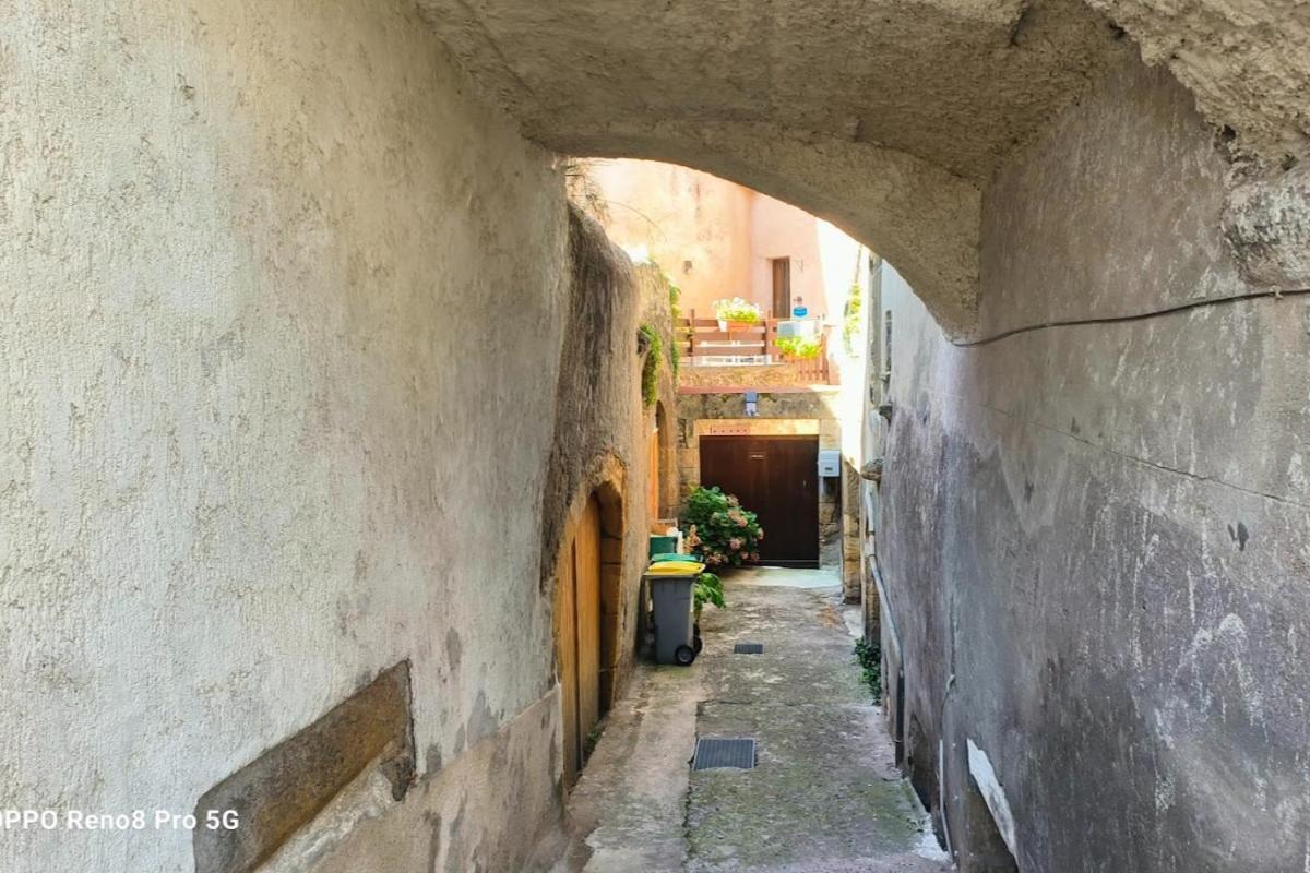 Entier, La Chacuniere Saint-Amant-Tallende